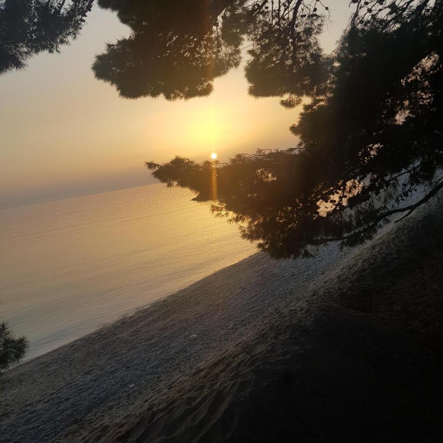 Lorena Luxury Apartment Makarska Bagian luar foto